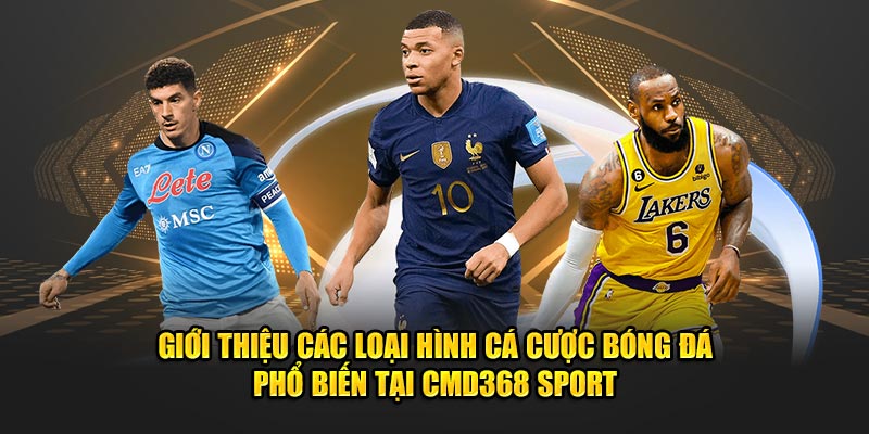 Giới thiệu các loại hình cá cược bóng đá phổ biến tại CMD368 Sport