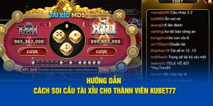 Soi Cầu Tài Xỉu